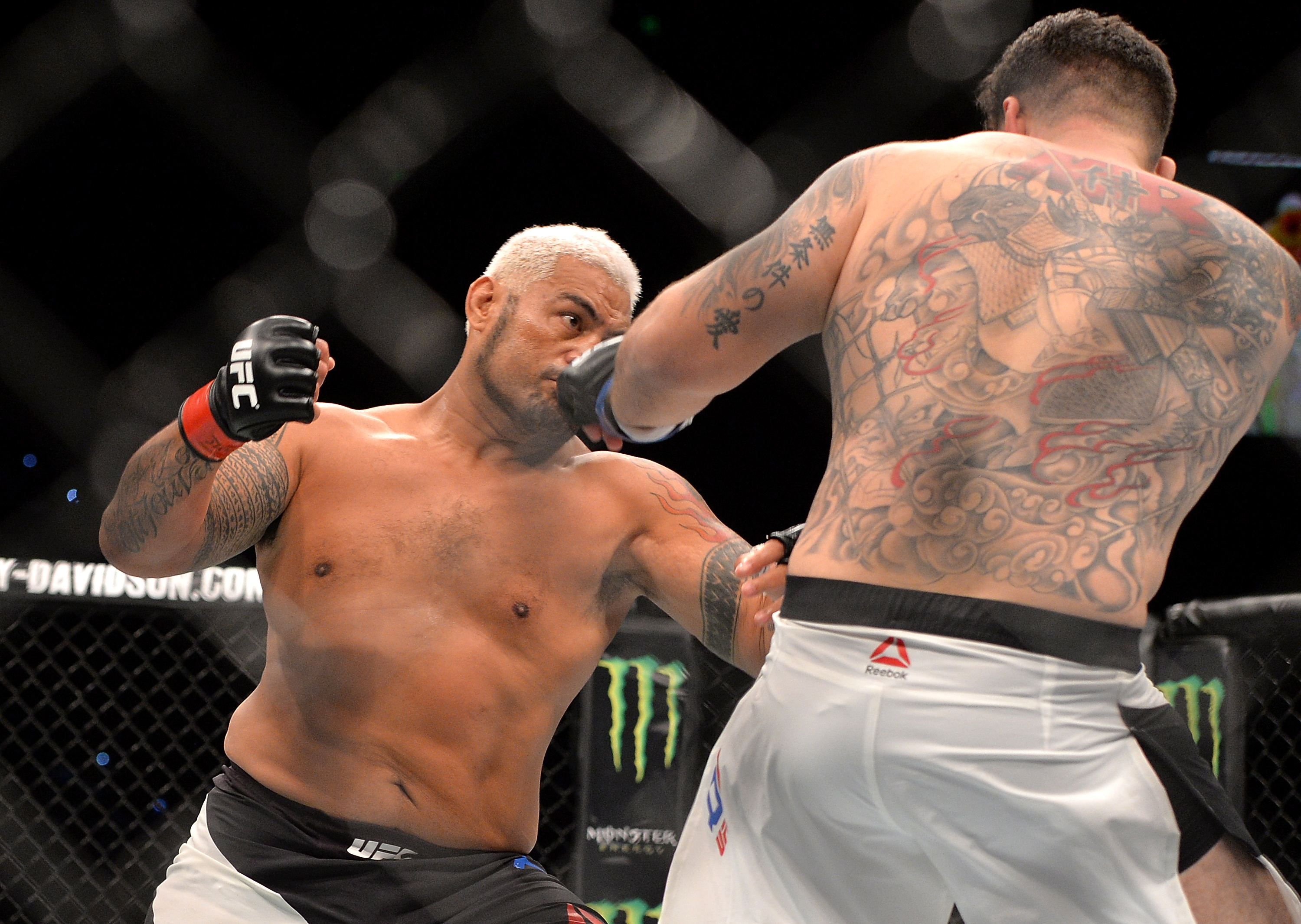 Mark Hunt #19