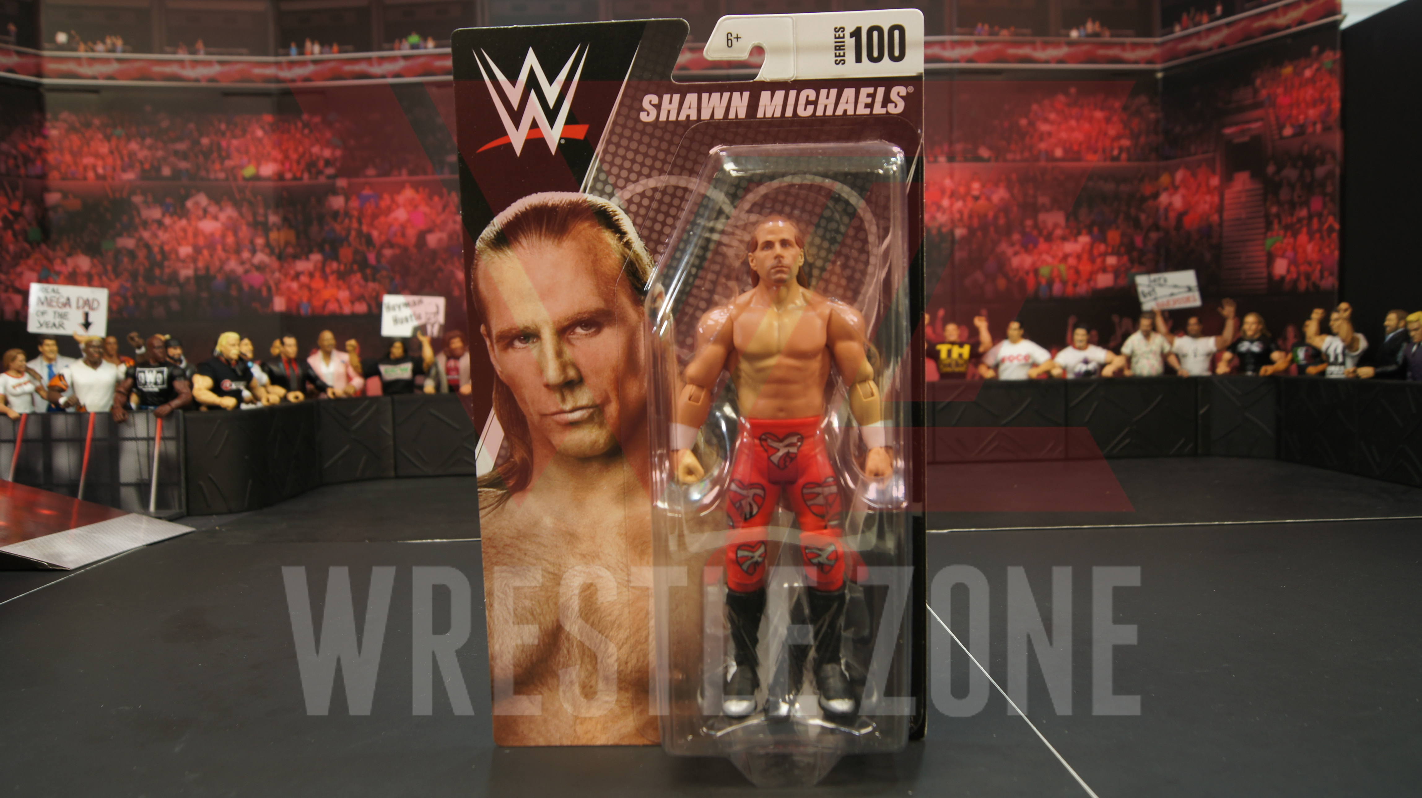 Wwe_series100_hbk_a