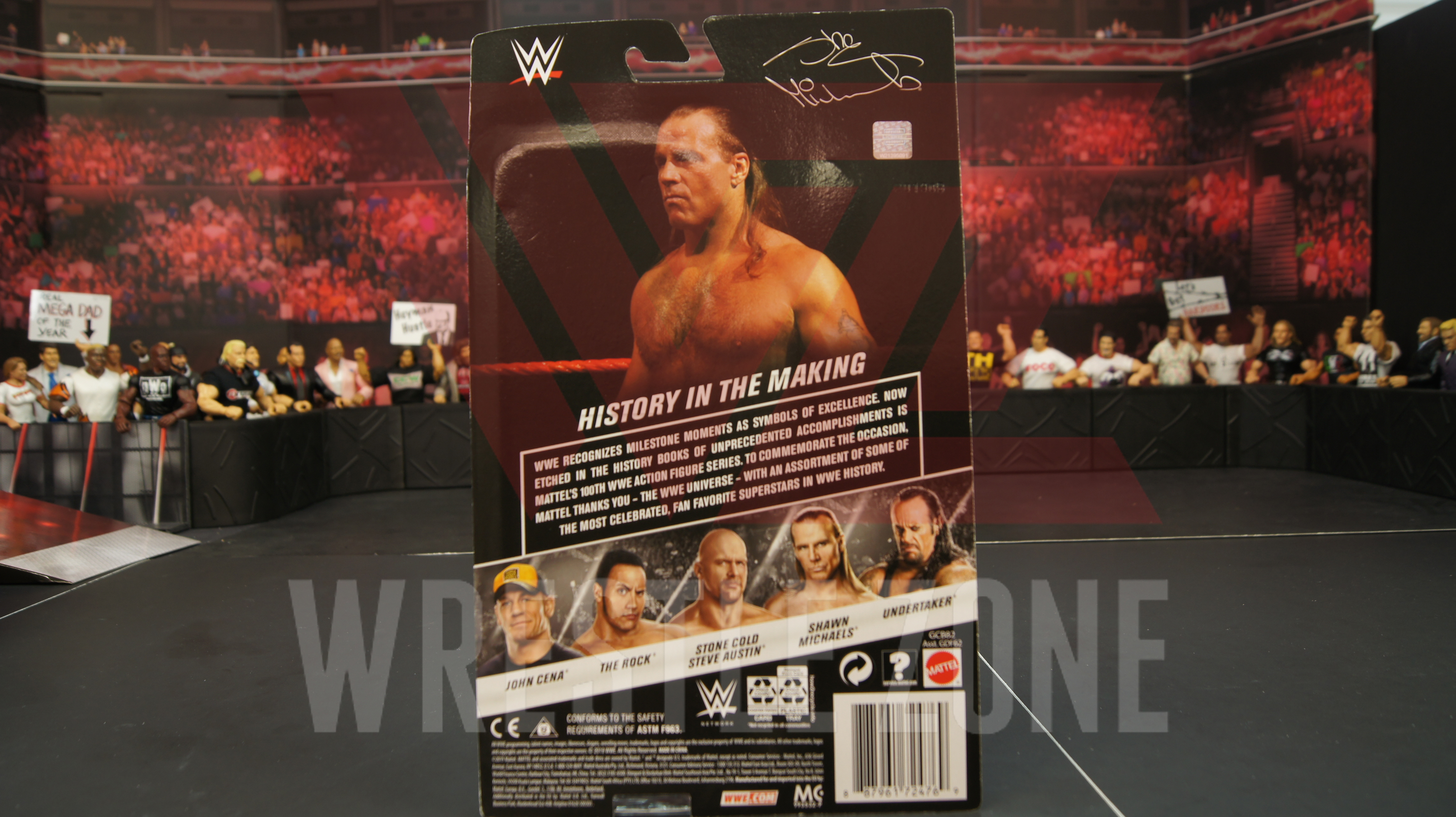 Wwe_series100_hbk_b