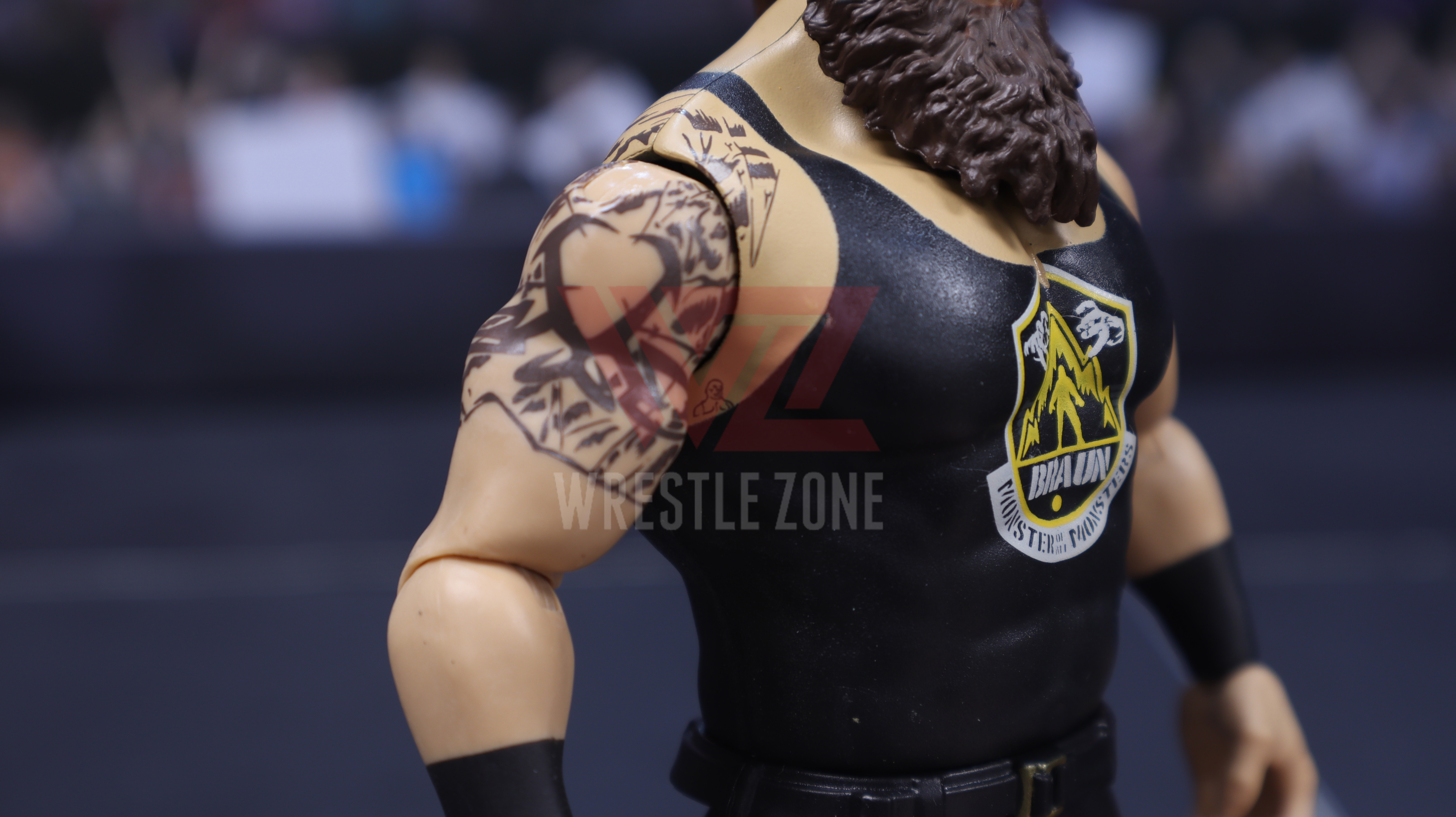 Wz_wwe_series115_braun_20201229_2177