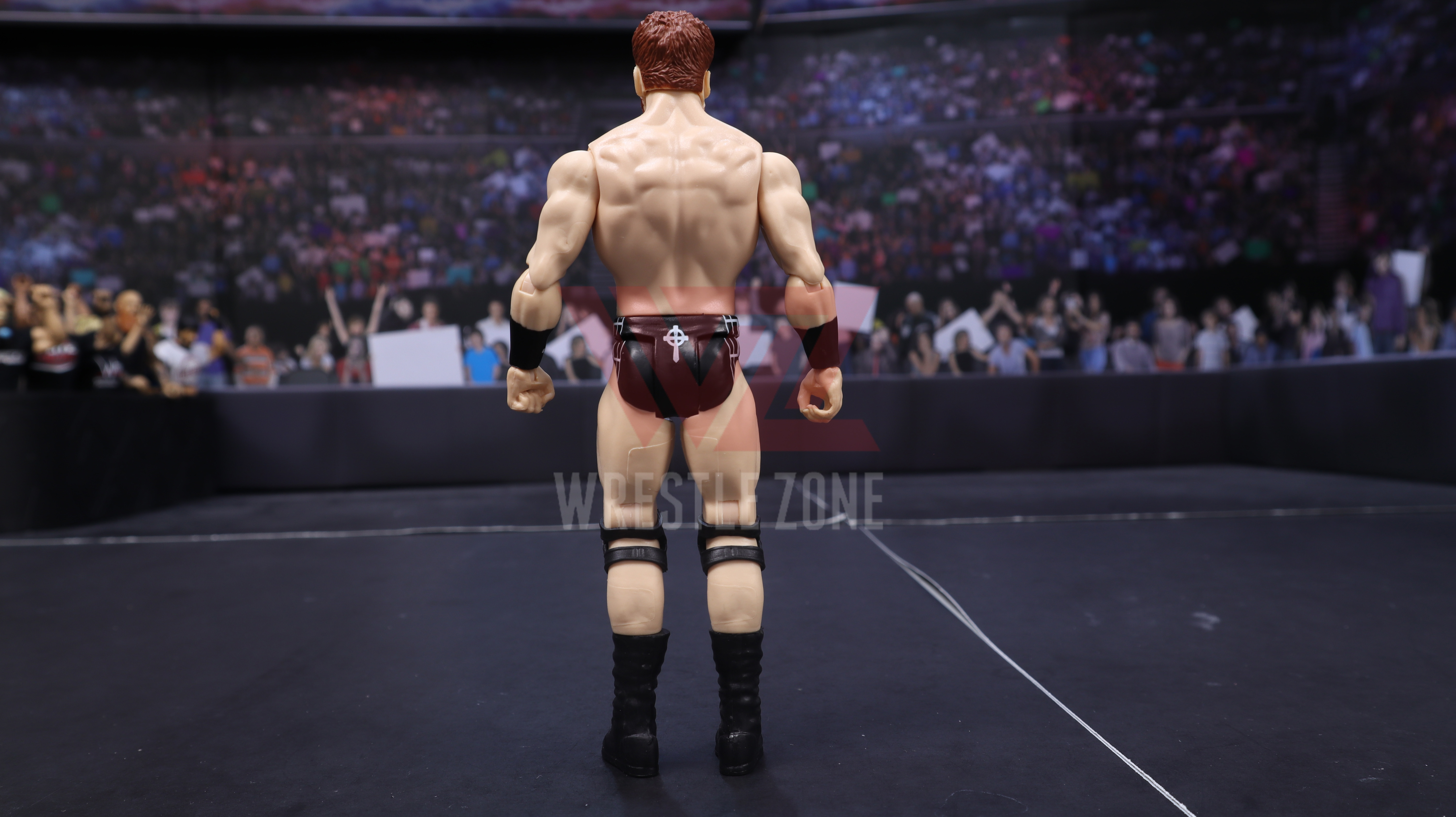 Wz_wwe_series116_sheamus_20201230_2214_0