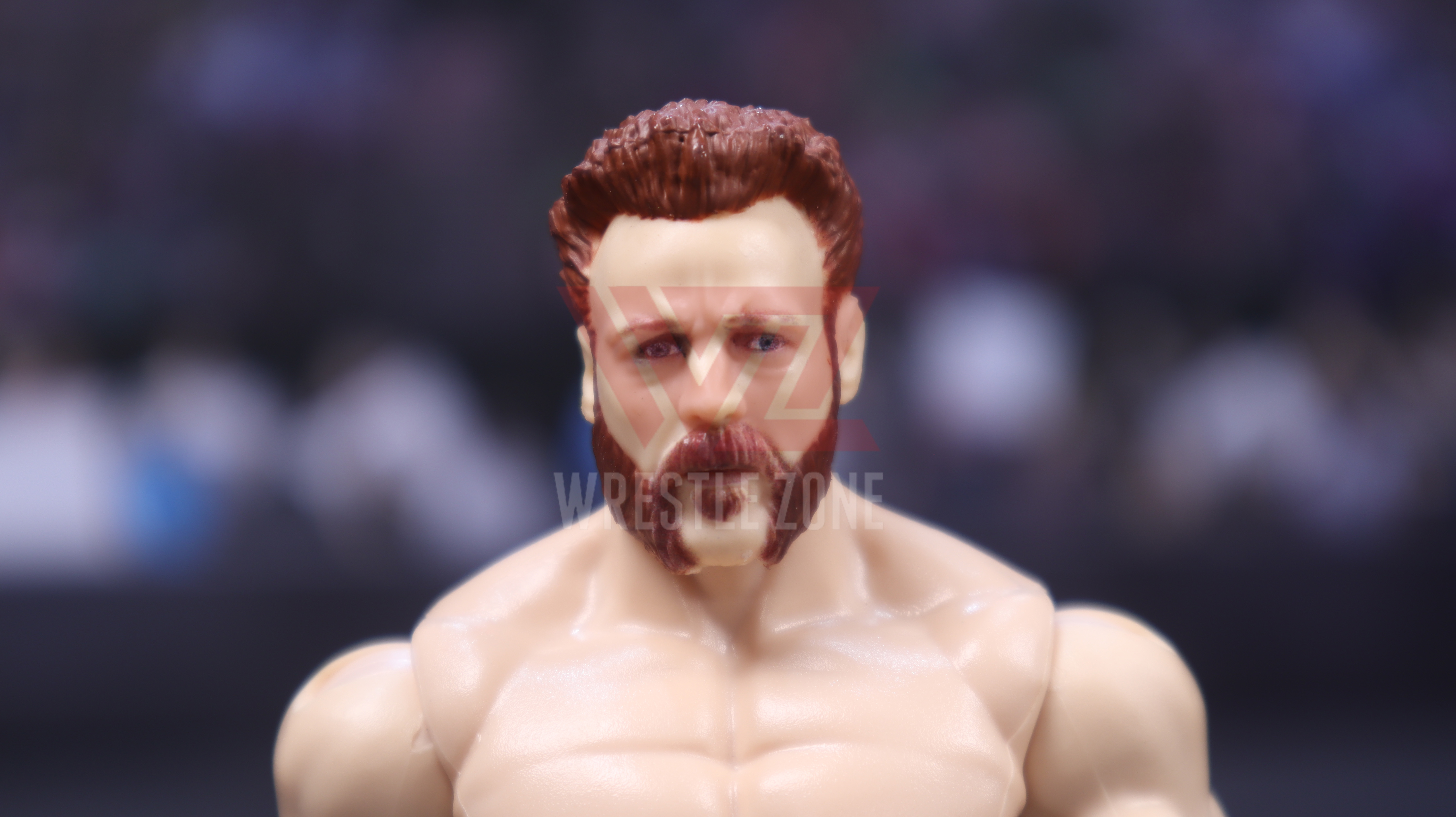 Wz_wwe_series116_sheamus_20201230_2215