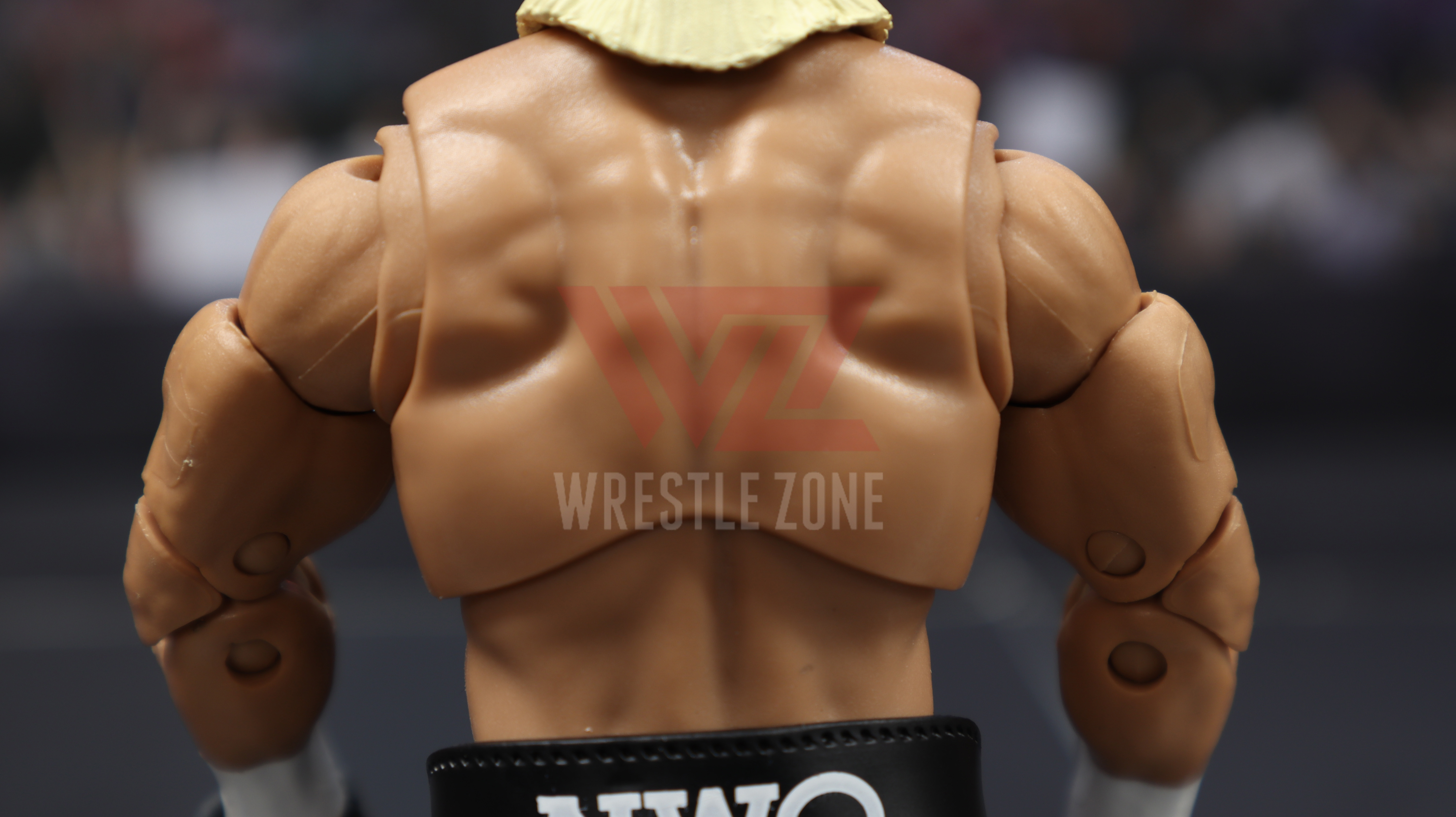 Wz_wwe_ultimate7_hogan_20201202_1895