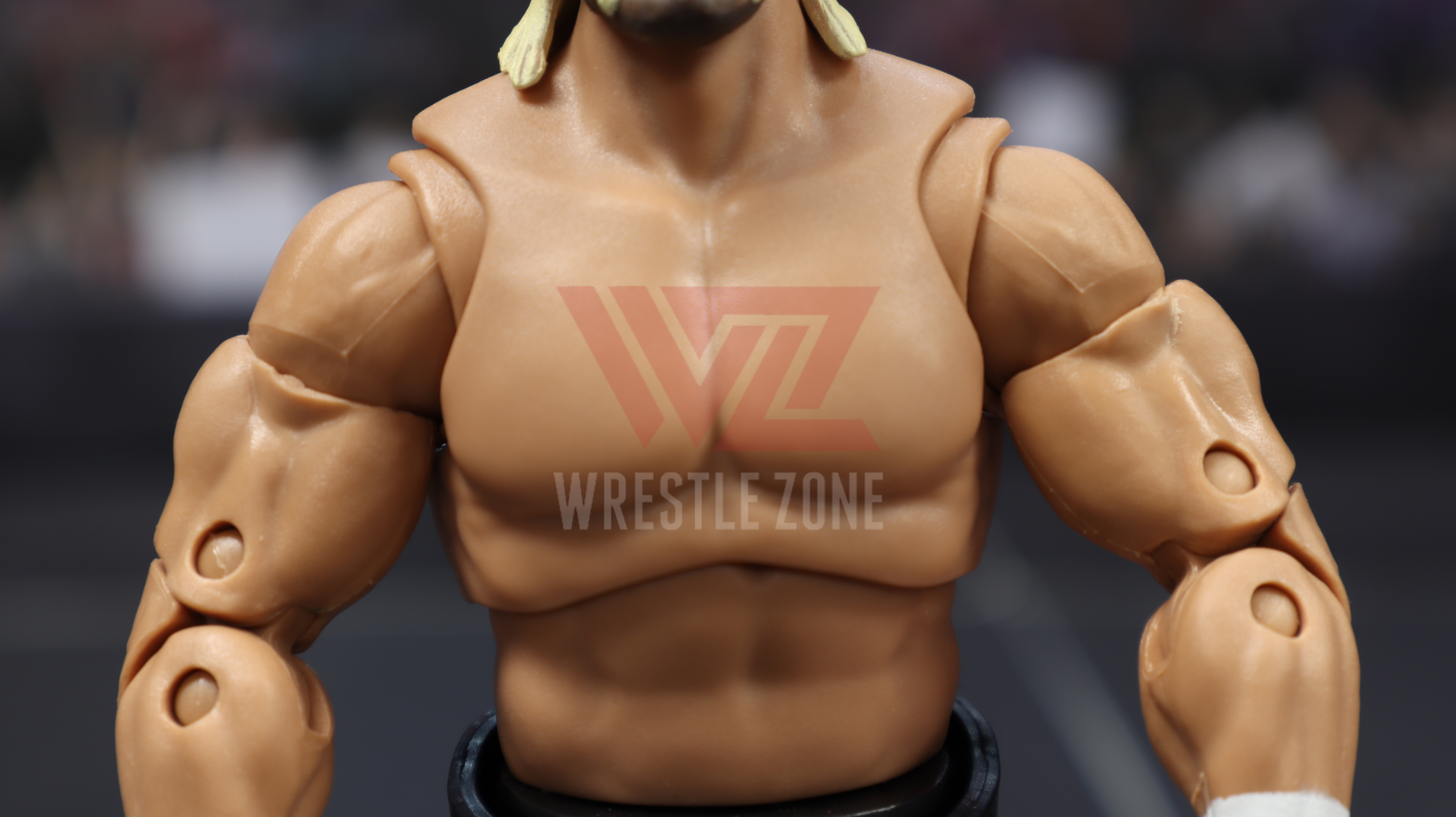 Wz_wwe_ultimate7_hogan_20201202_1896