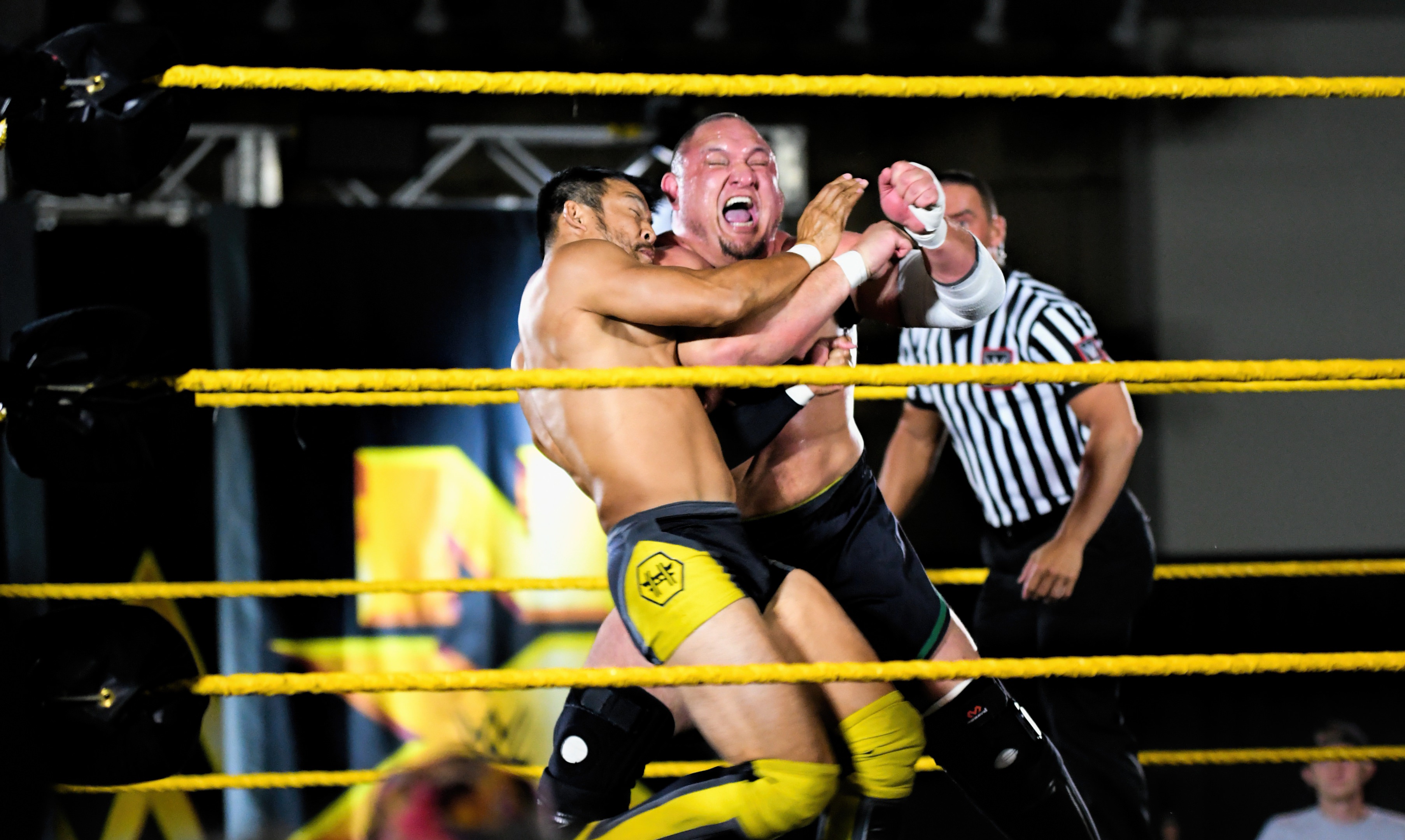 NXT Venice #13