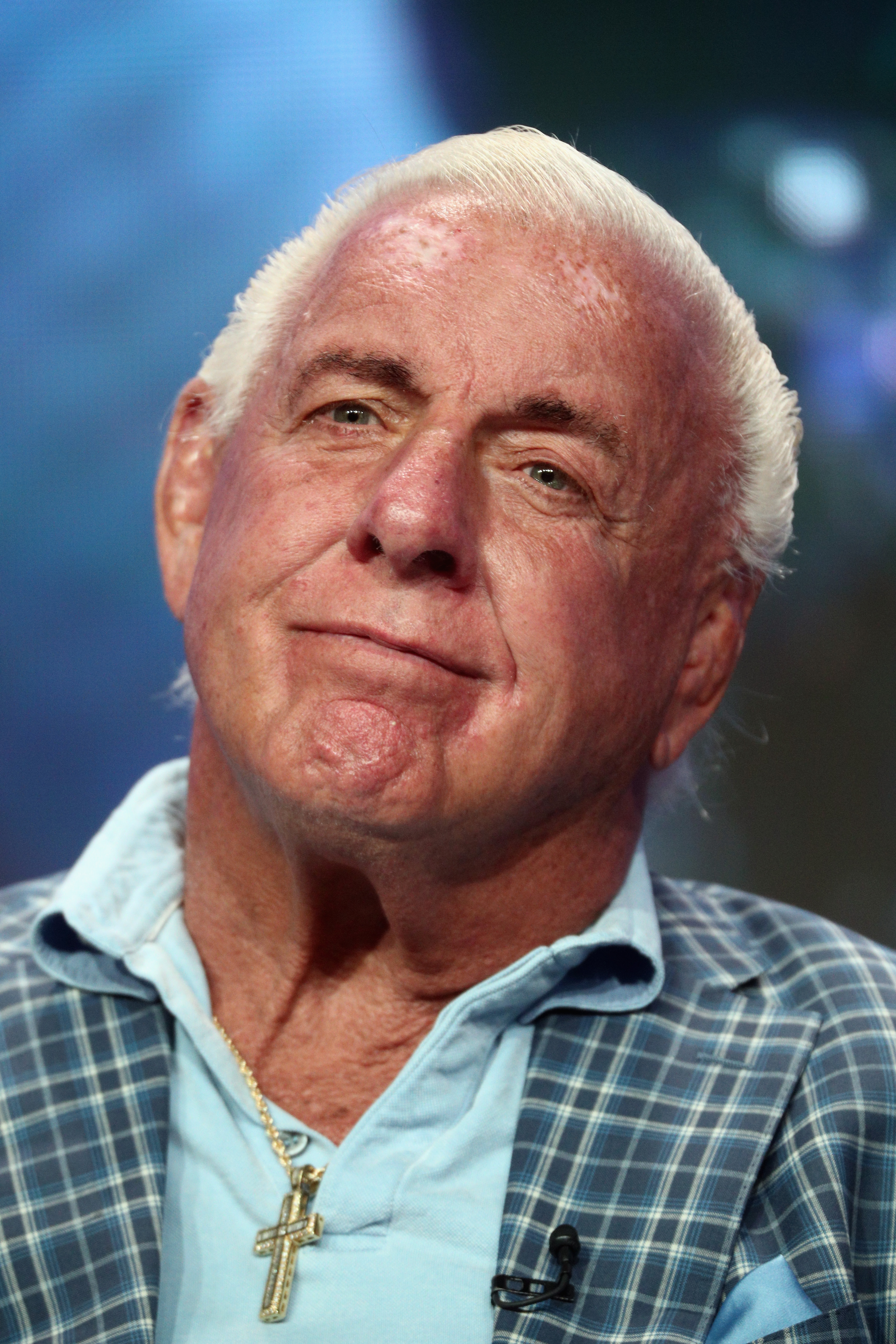 Ric Flair Summer TCA Tour