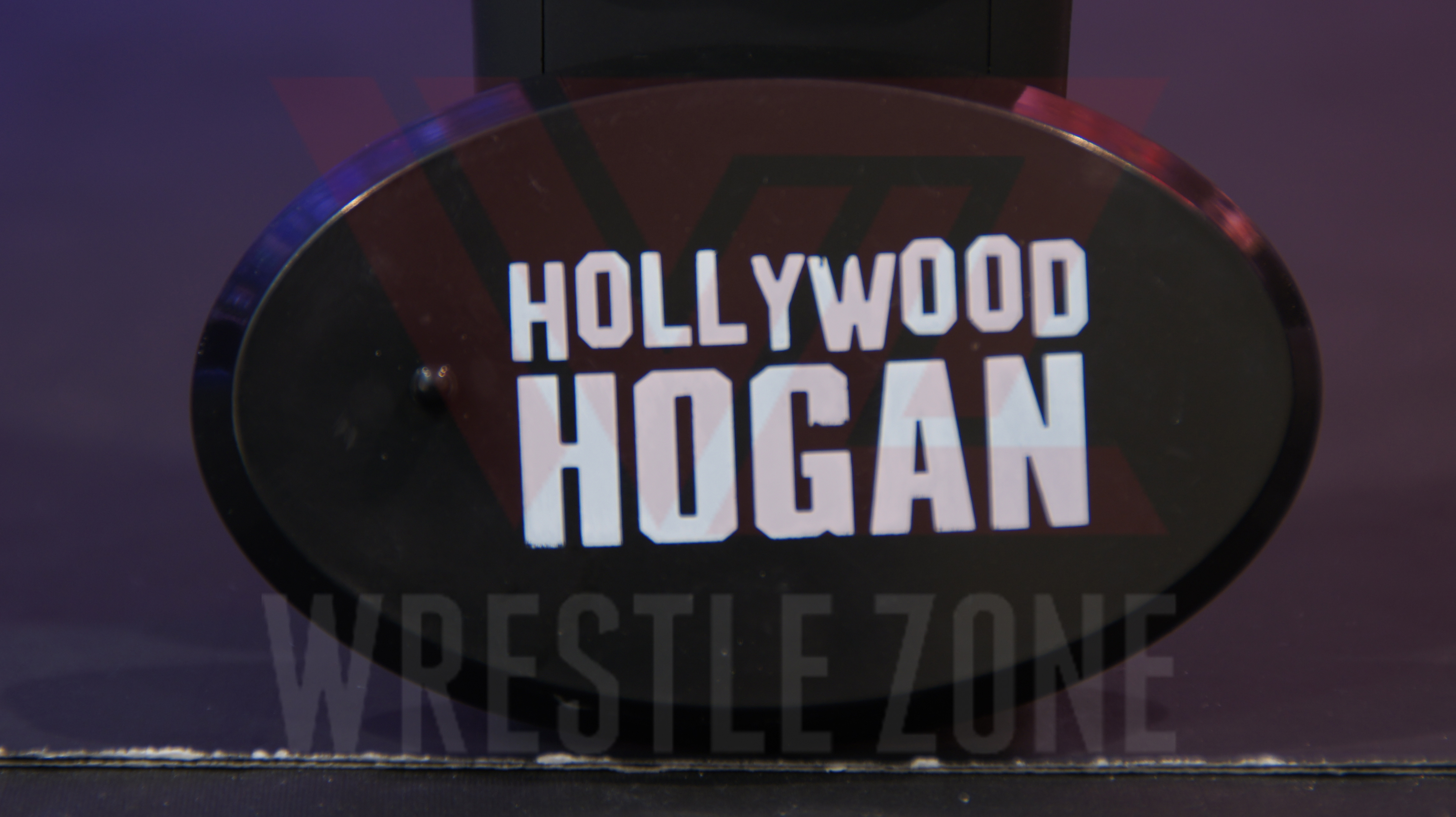 Wz_figure_friday_rsc_hollywood_hogan_9