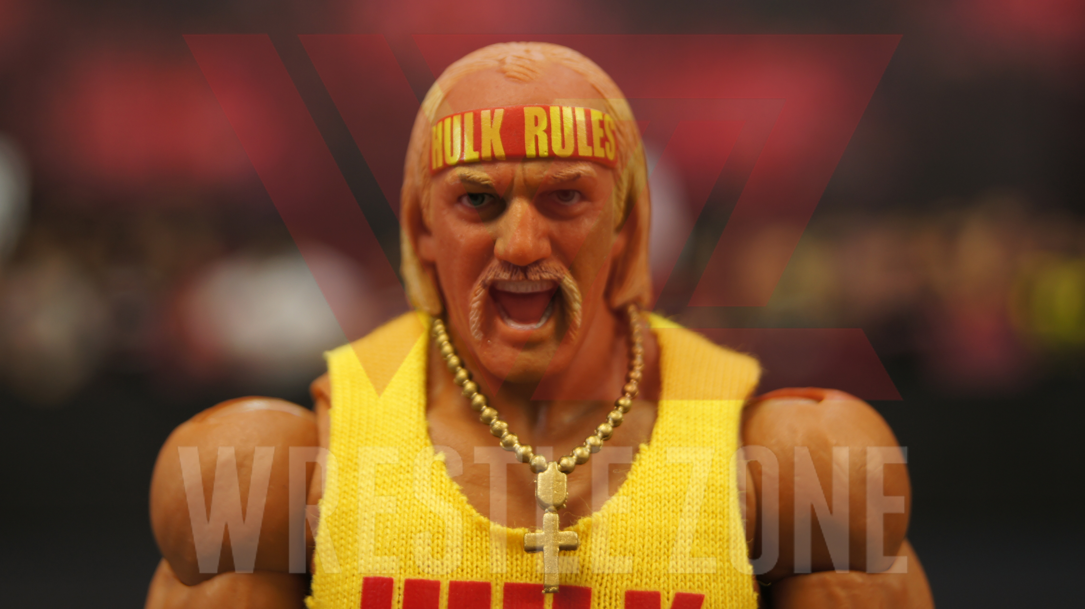 Wz_storm_collectibles_hogan_q