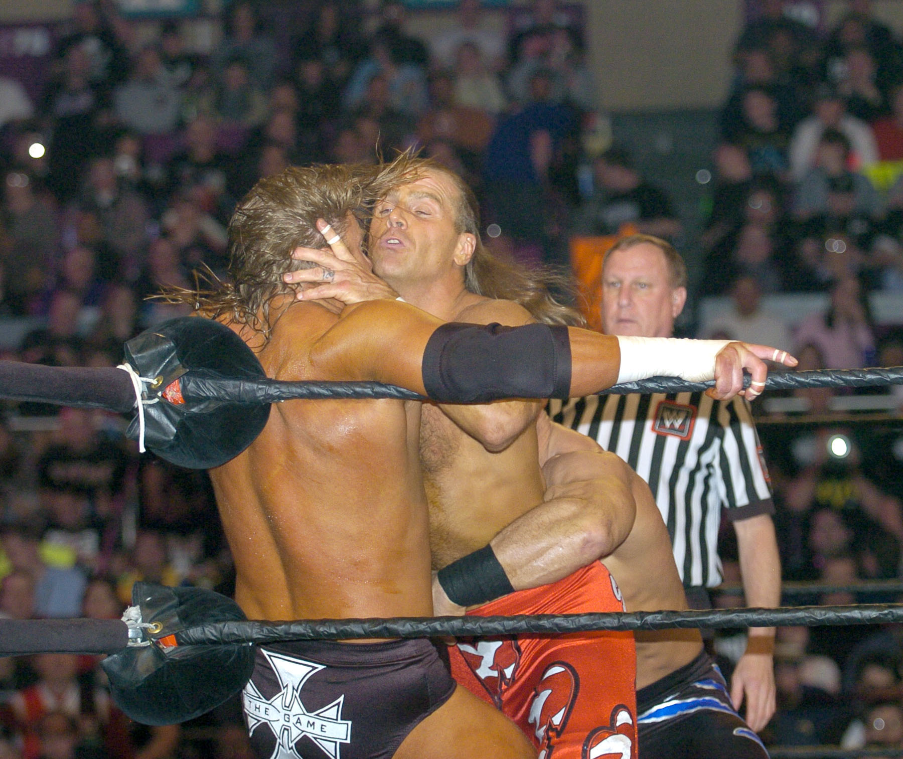 Triple H & Shawn Michaels