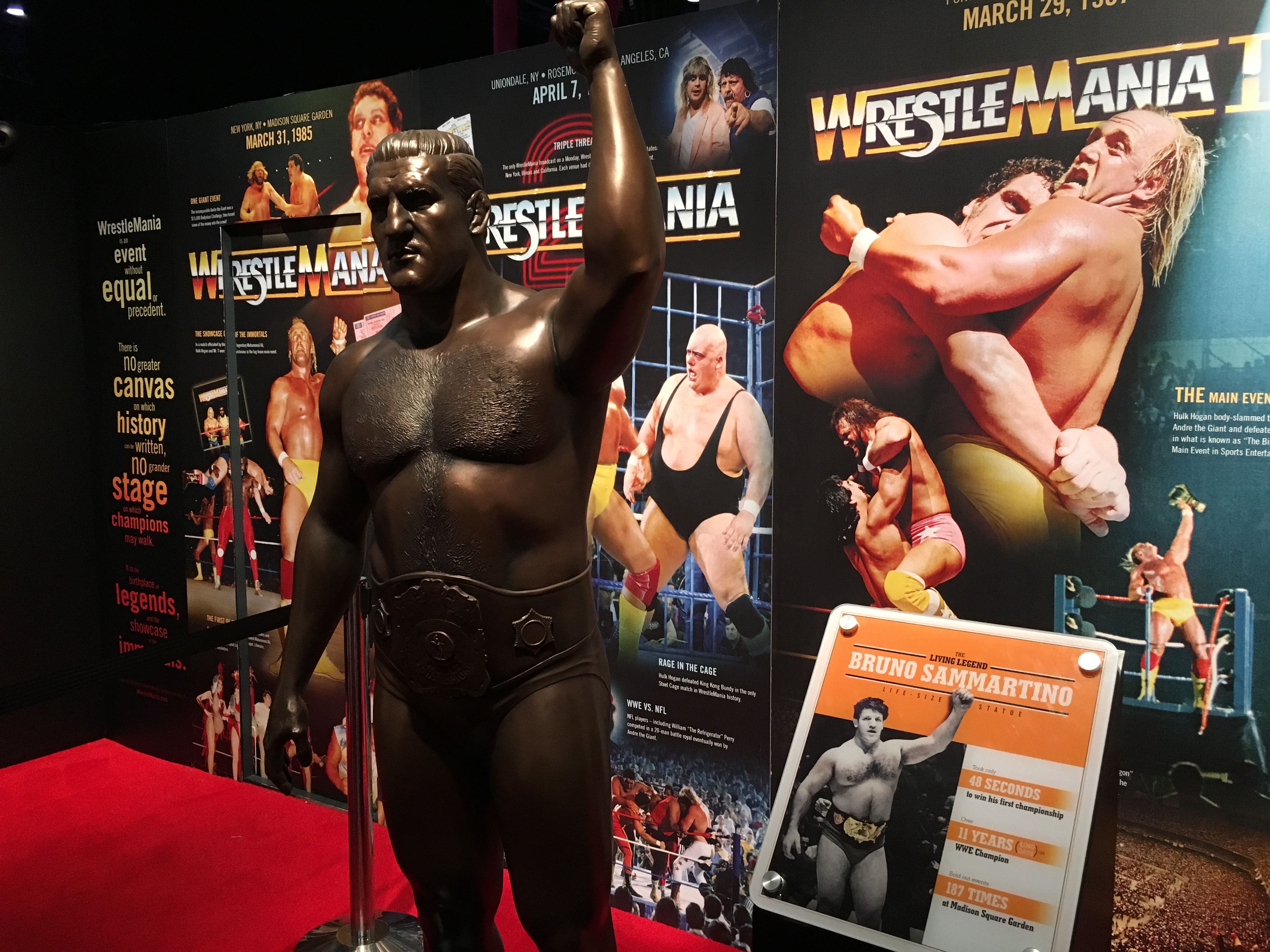 Bruno Sammartino Statue