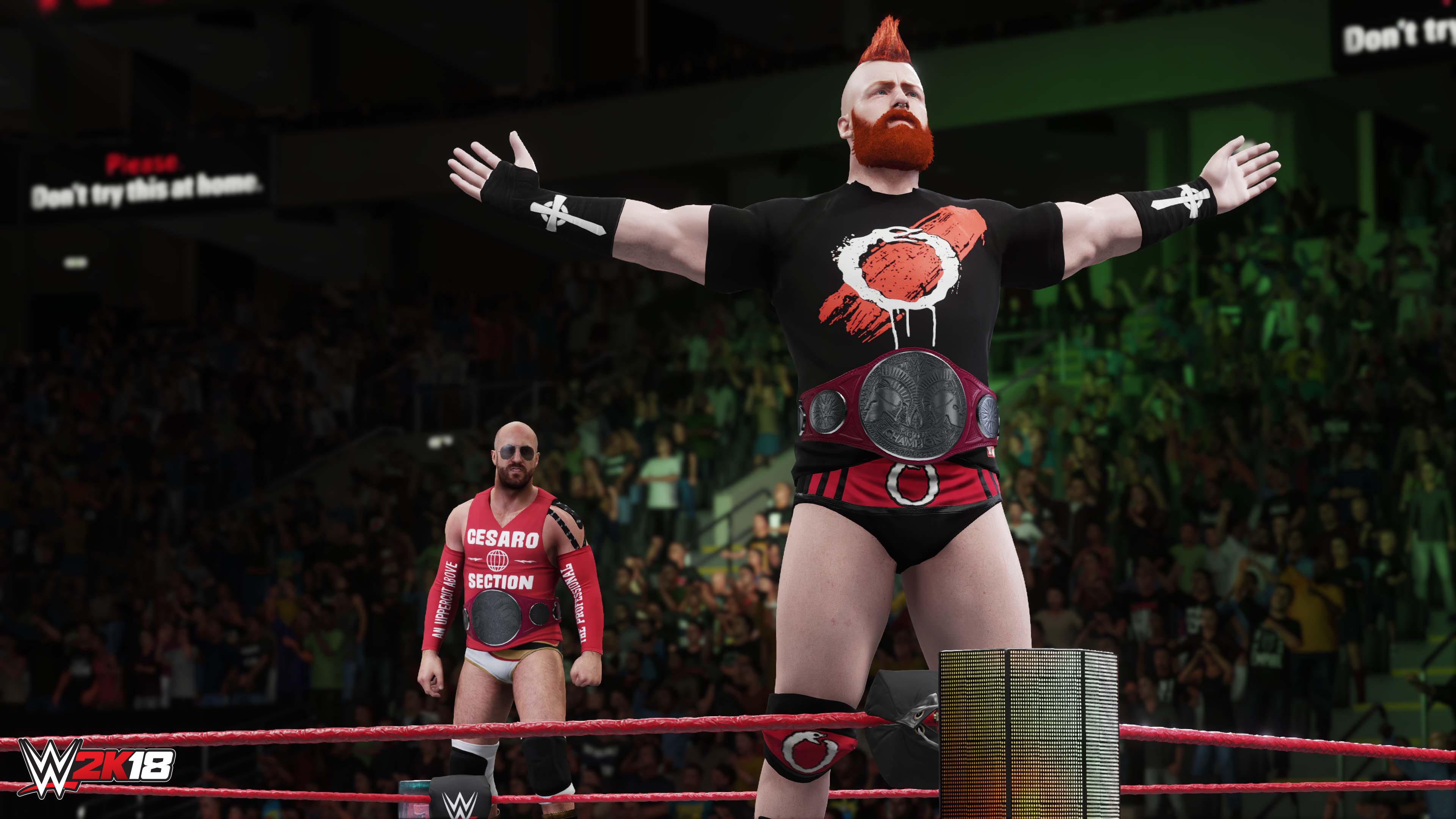 Sheamus & Cesaro