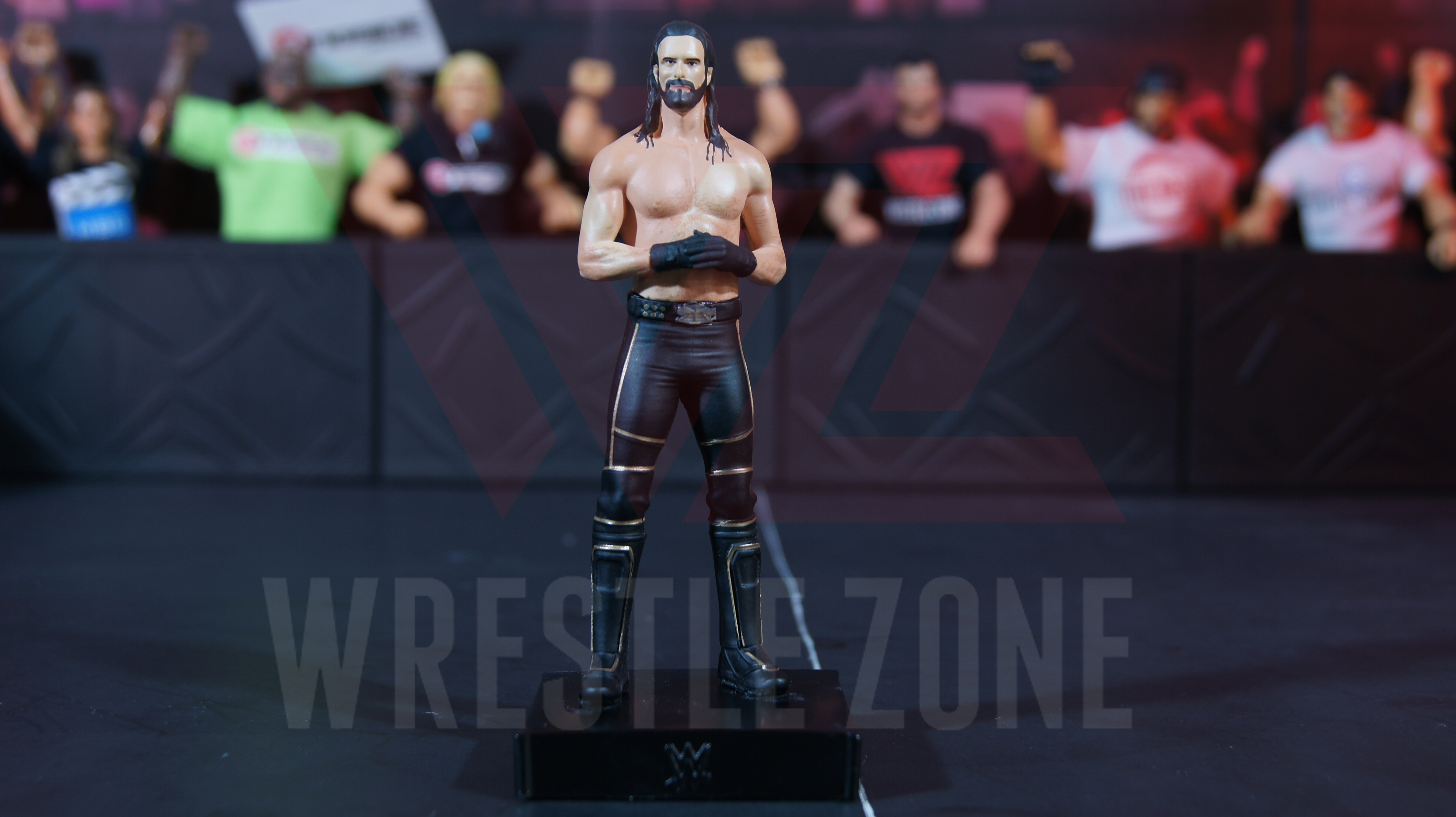 Wwe_eaglemoss_batch2_rollins_e