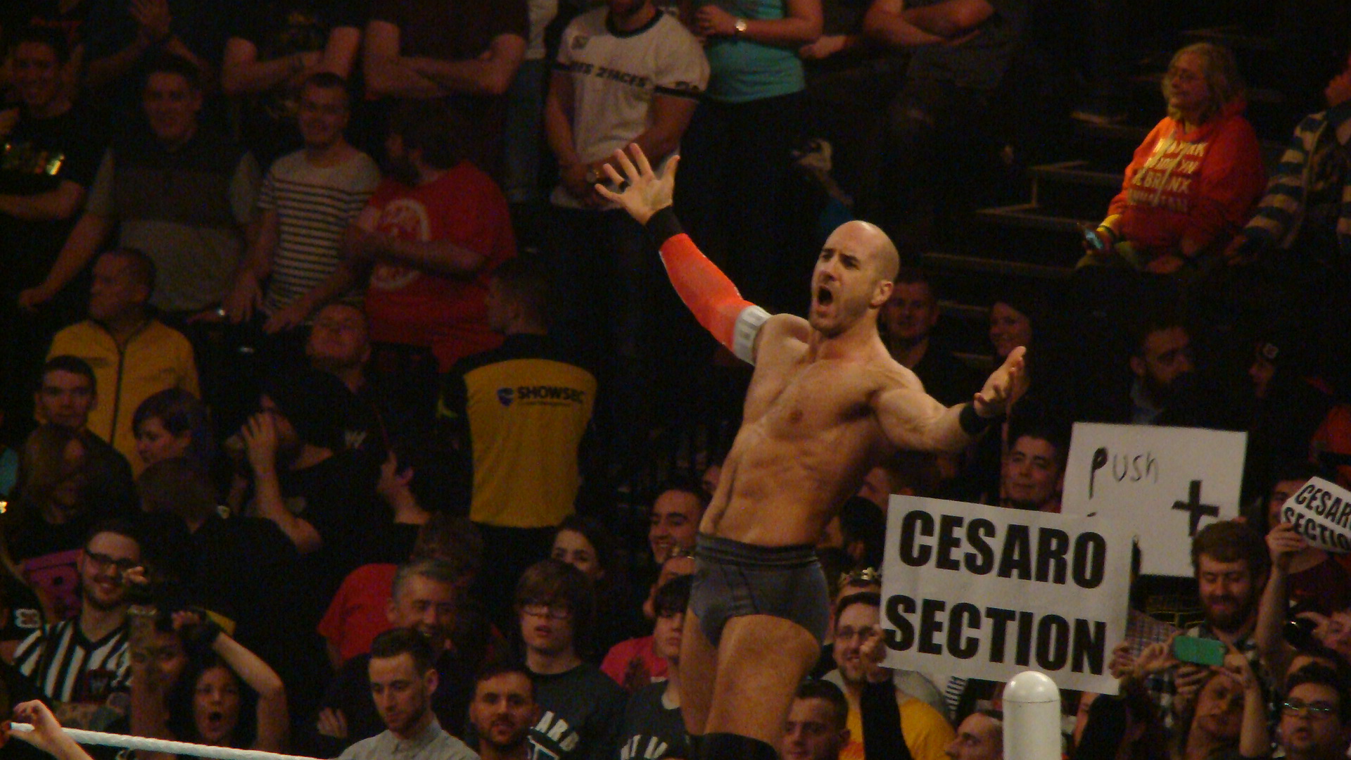 Cesaro