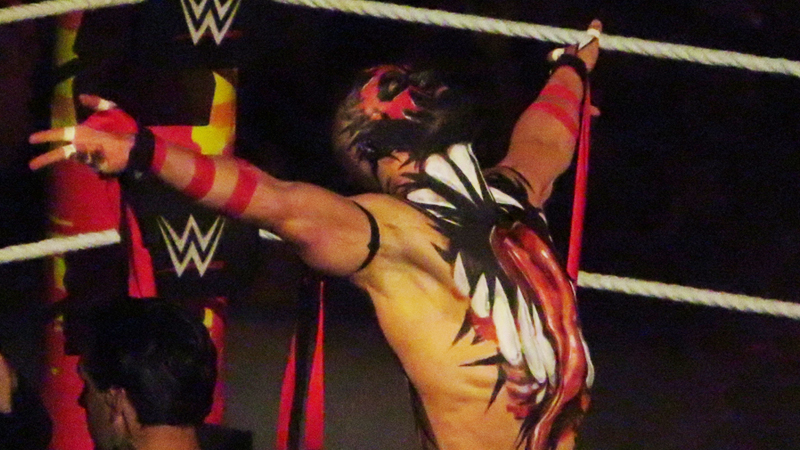 Finn Balor Bp 8